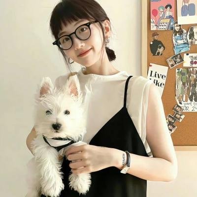 廉政英雌粤语